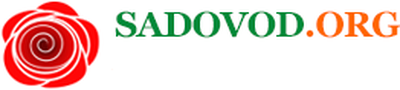  Sadovod